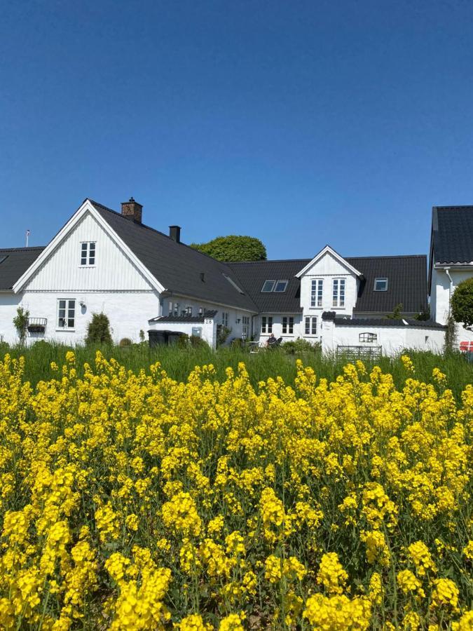 Vejle Golf Apartments Børkop المظهر الخارجي الصورة