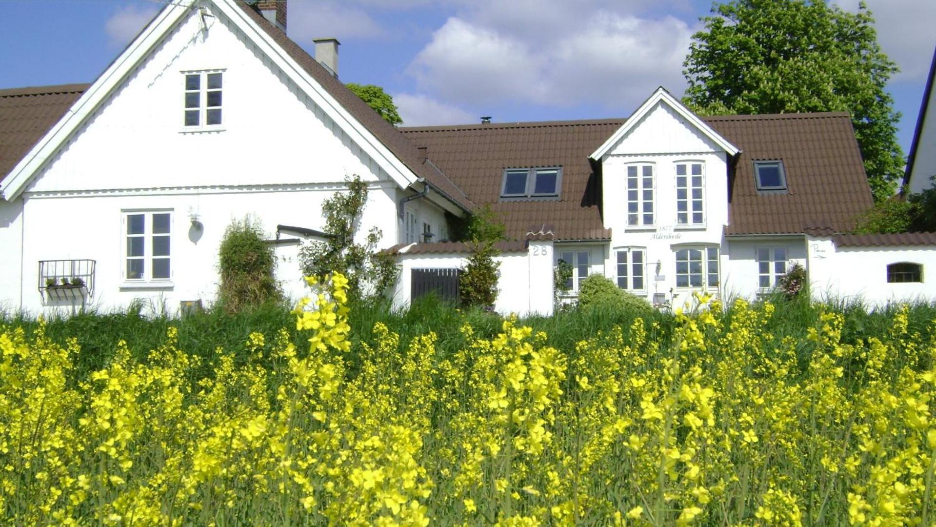 Vejle Golf Apartments Børkop المظهر الخارجي الصورة