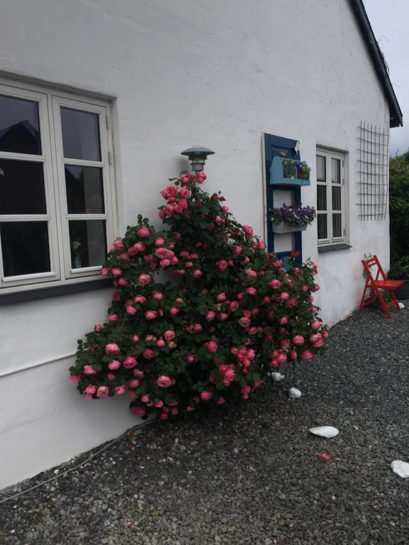 Vejle Golf Apartments Børkop المظهر الخارجي الصورة